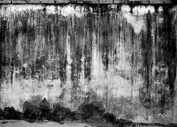 高能电玩节：《传奇生物2》正式公开 试玩版已上线Steam