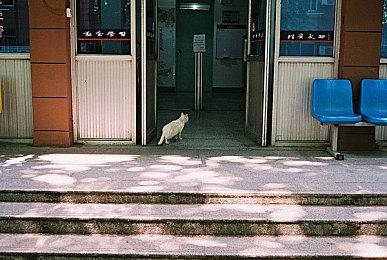 未来游戏展：《书行者》预告片展示小说世界冒险之旅