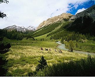 外媒精选下半年即将发售的15款大作 《黑神话：悟空》等