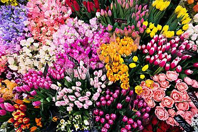 传EA打算本周重新发售《模拟人生》1和2 收录所有资料片