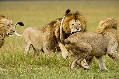 《鬼屋魔影：重制版》 序章试玩Demo上线 支持简中