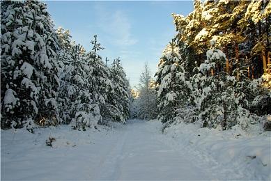 消息称亚马逊将推出《战神》改编真人电视剧